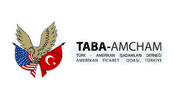 Türk Amerikan İşadamları Derneği logo